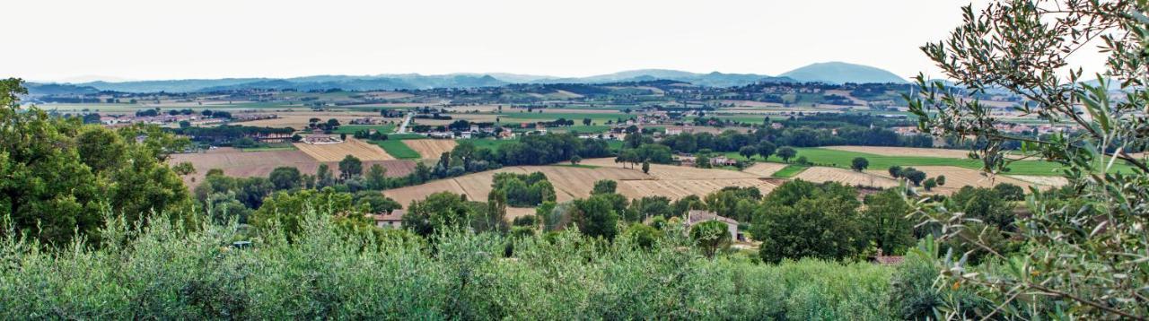 Agriturismo La Palazzetta Di Assisi Villa Luaran gambar
